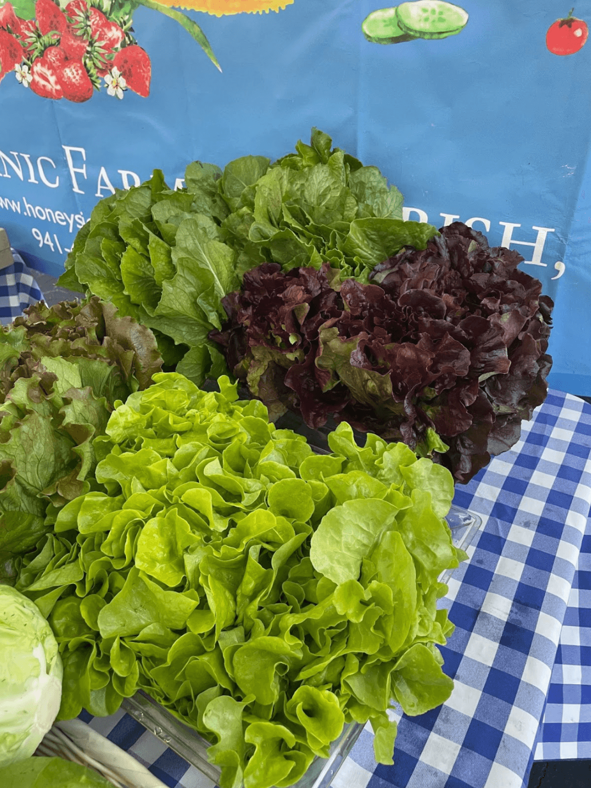 Local Produce from Honeyside Farms in Parrish, FL